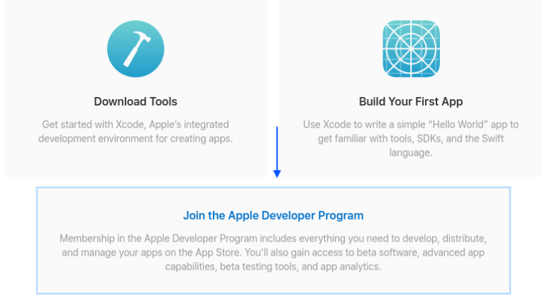 Apple developer program что это