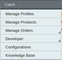 Dashboard Magento Admin