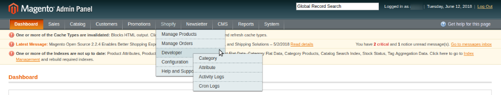 shopify developer settings