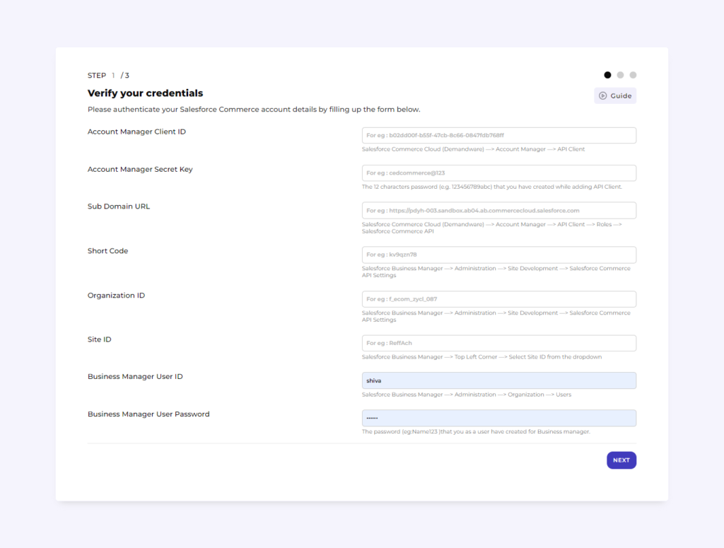 salesforce - login details authentication